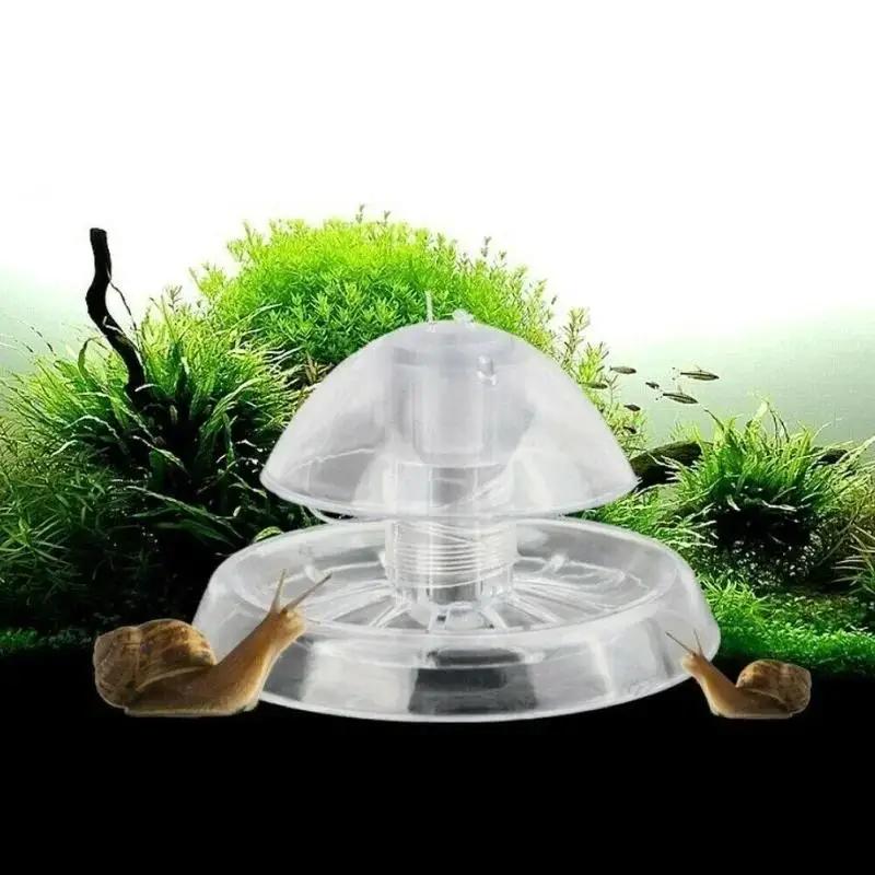 Aquarium Planting Ideas - 2026 Perangkap Siput Plastik Transparan 6/8CM