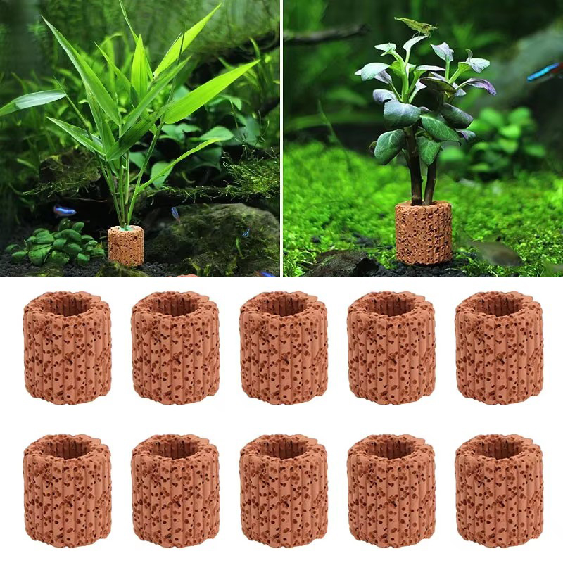 Aquarium Plant Utensils - Cincin Tetap Tanaman Air untuk Pemandangan