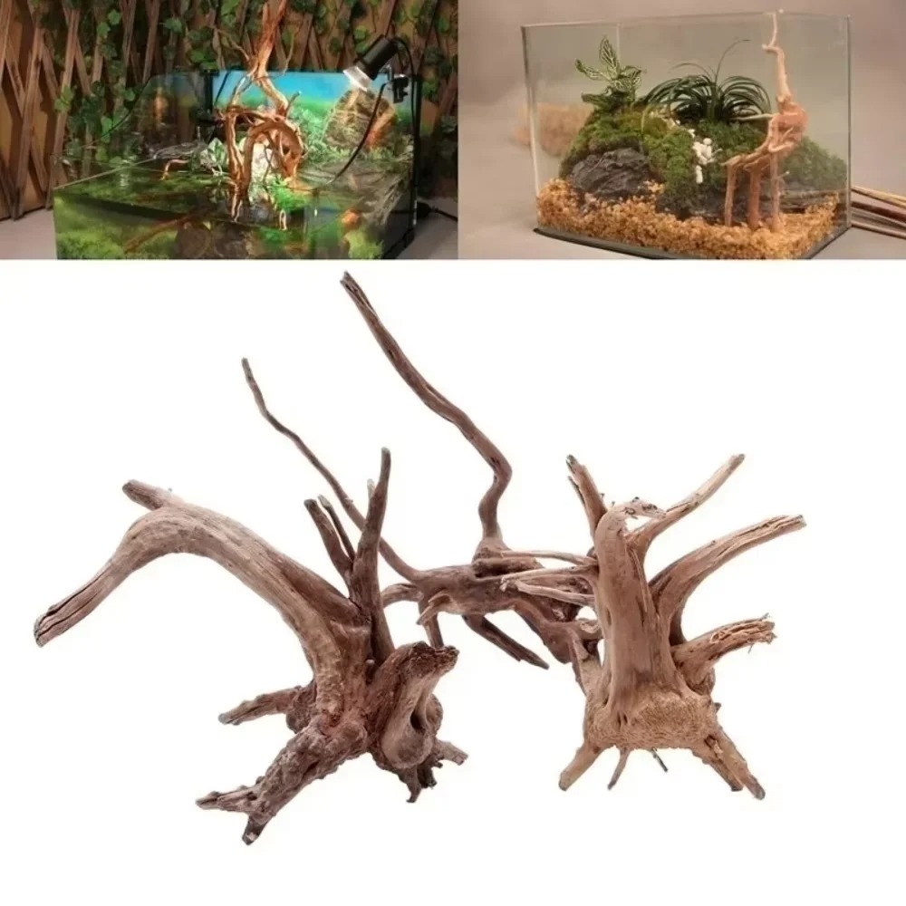 Aquarium Planting Ideas - Dekorasi Akuarium Kayu Apung Alami 15-20CM