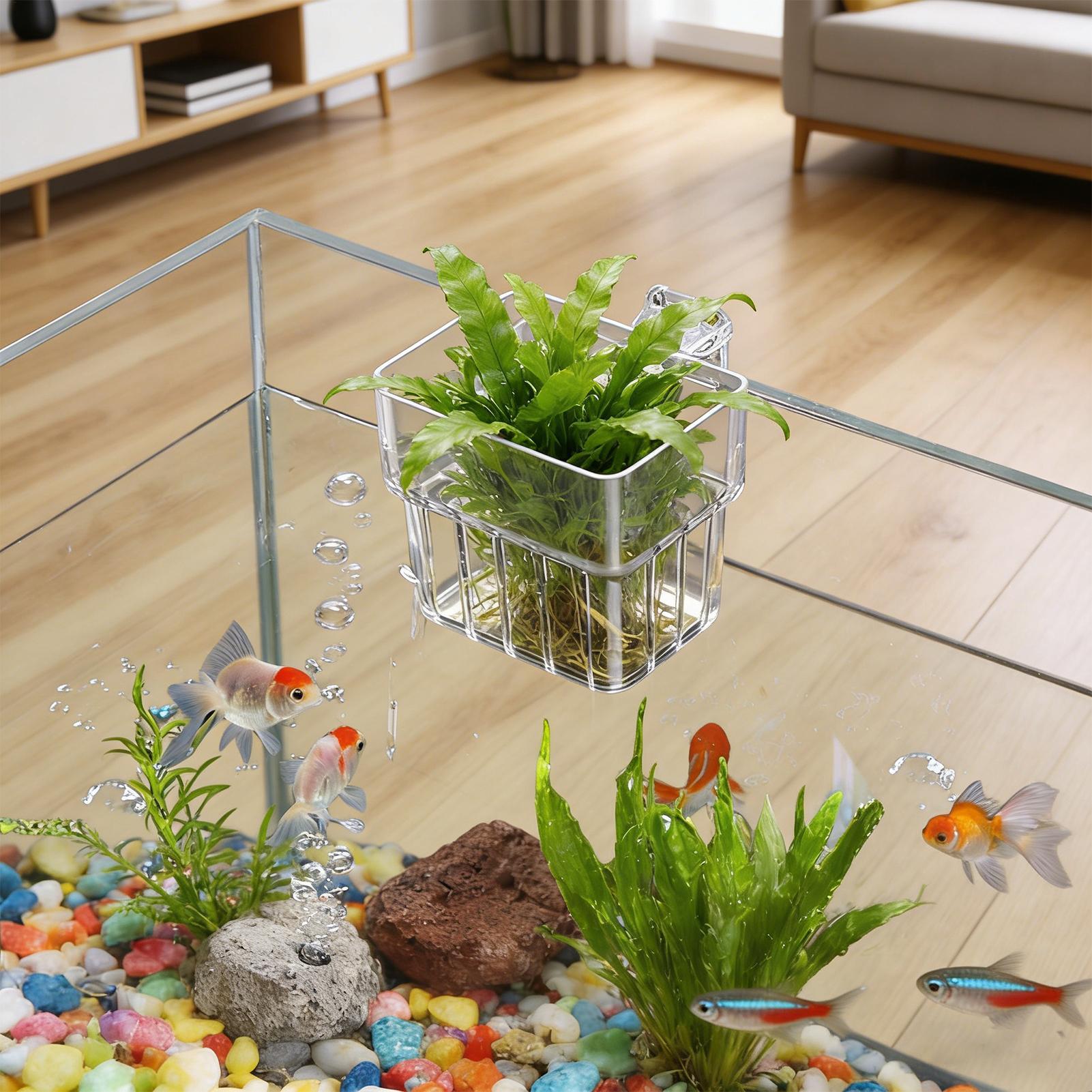 Aquasoil Substrate - Pot Tanaman Akuarium Transparan yang Dapat