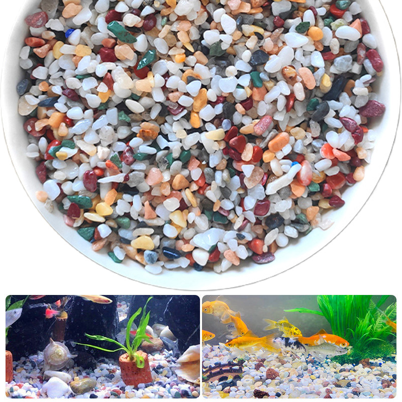 Aquarium Plant Gravel - Batu Kerikil Alami 200 ~ 1000G