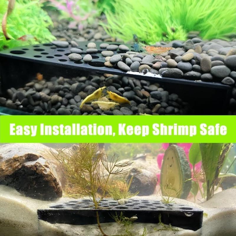 Aquarium Planting Ideas - Akuarium Baru dengan Gua Tersembunyi untuk