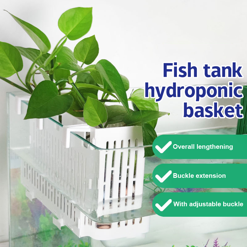 Aquarium Planting Ideas - 【F】Wadah Tanaman Gantung untuk Akuarium, Tempat