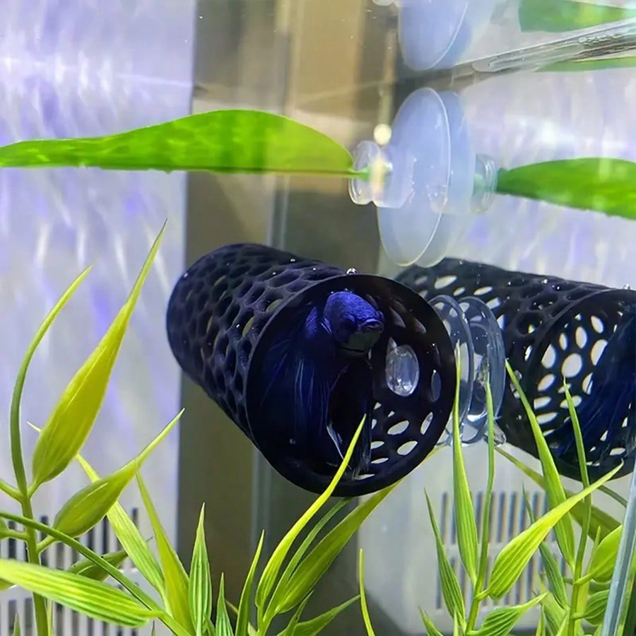 Tabung Berongga Hitam Tempat P - Aquasoil Substrate ulasan dan harga