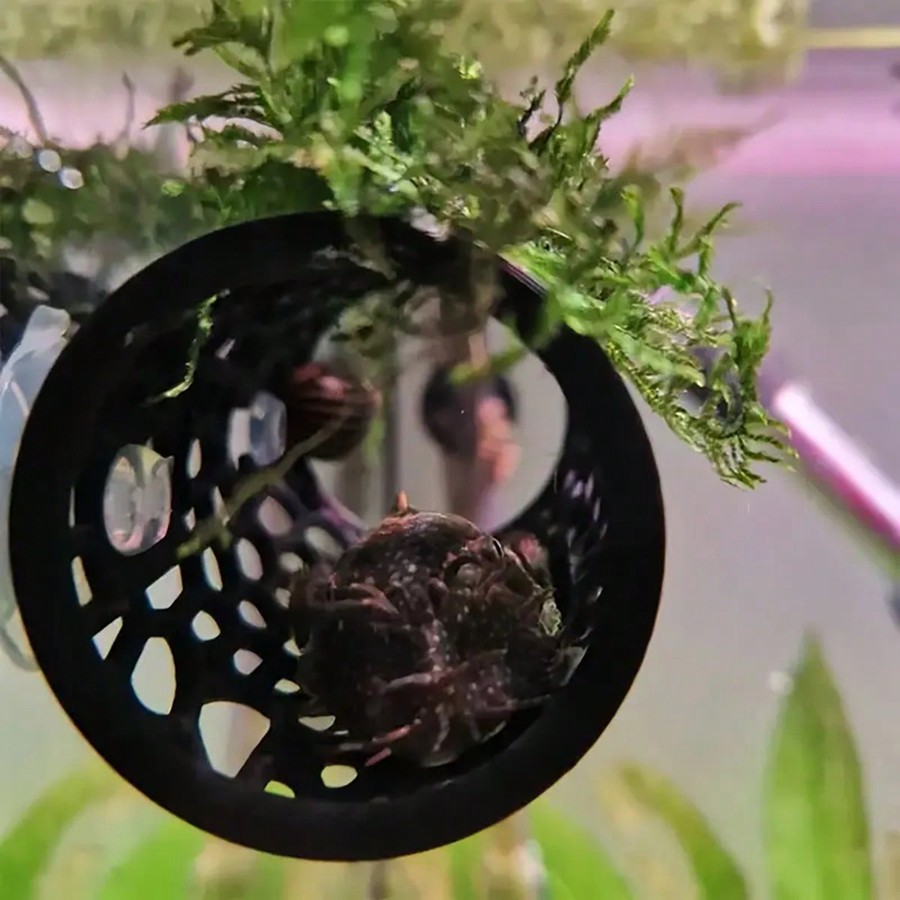 Tabung Berongga Hitam Tempat P - Aquasoil Substrate ulasan dan harga