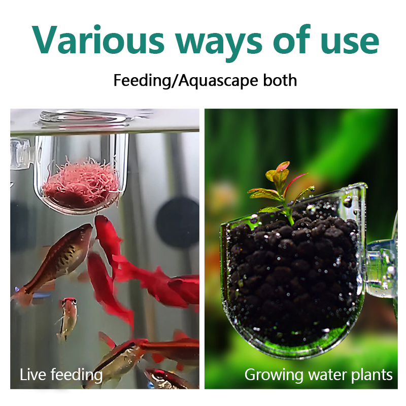 Pot Tanaman Hias Akuarium, Pot - Aquarium Plant Utensils ulasan dan harga