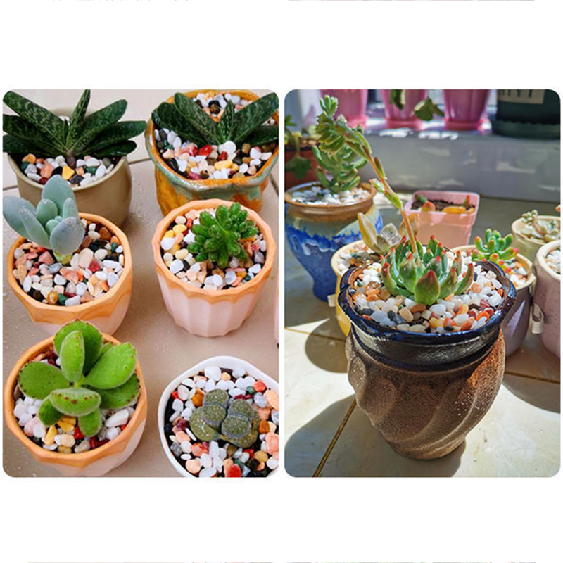 Pasir Akuarium Alami 5Mm 200G- - Aquarium Plant Gravel ulasan dan harga