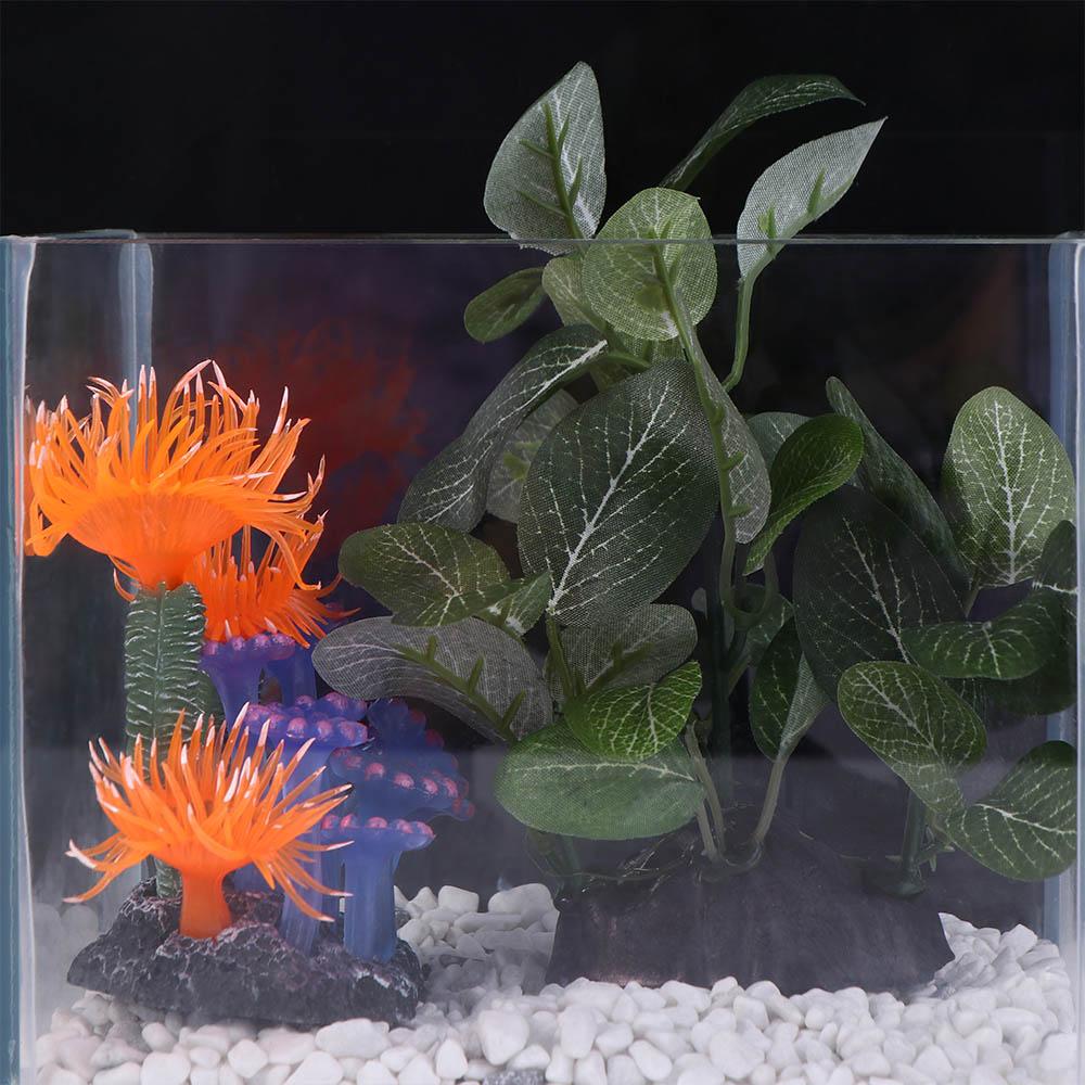 Tanaman Sutra Tiruan yang Miri - Planted Aquarium Jar ulasan dan harga