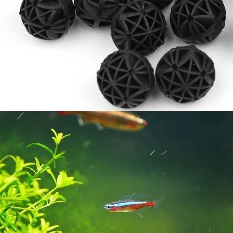 50 Buah Bola Filter Bio Akuari - Aquarium Planting Ideas ulasan dan harga