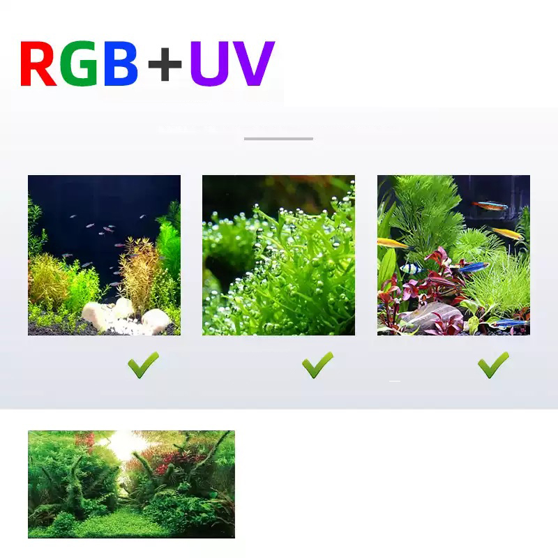Lampu Led tanaman spektrum pen - Aquarium Plant Light Spectrum ulasan dan harga