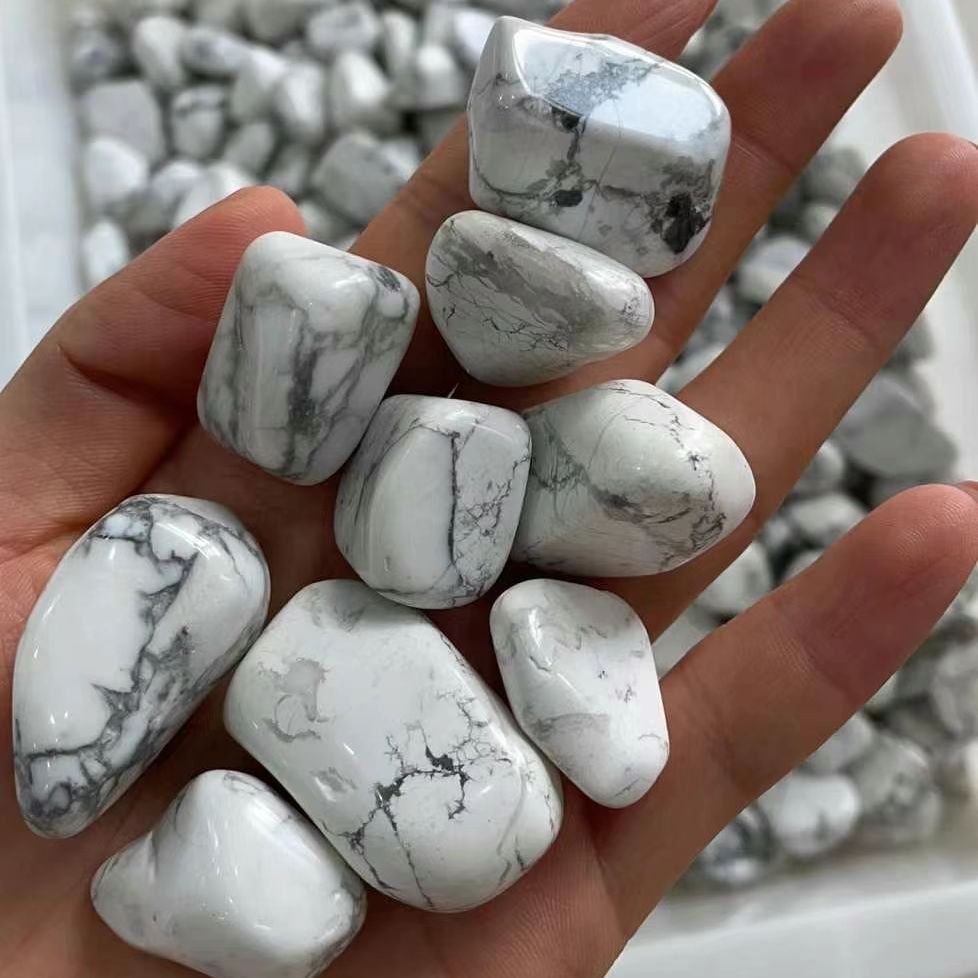 Batu Turquoise Putih Alami Kas - Aquarium Plant Gravel ulasan dan harga