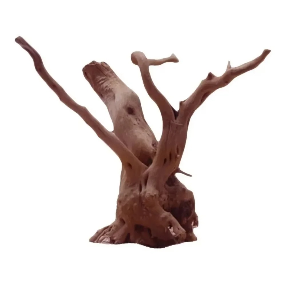Dekorasi Akuarium Kayu Apung A - Aquarium Planting Ideas ulasan dan harga
