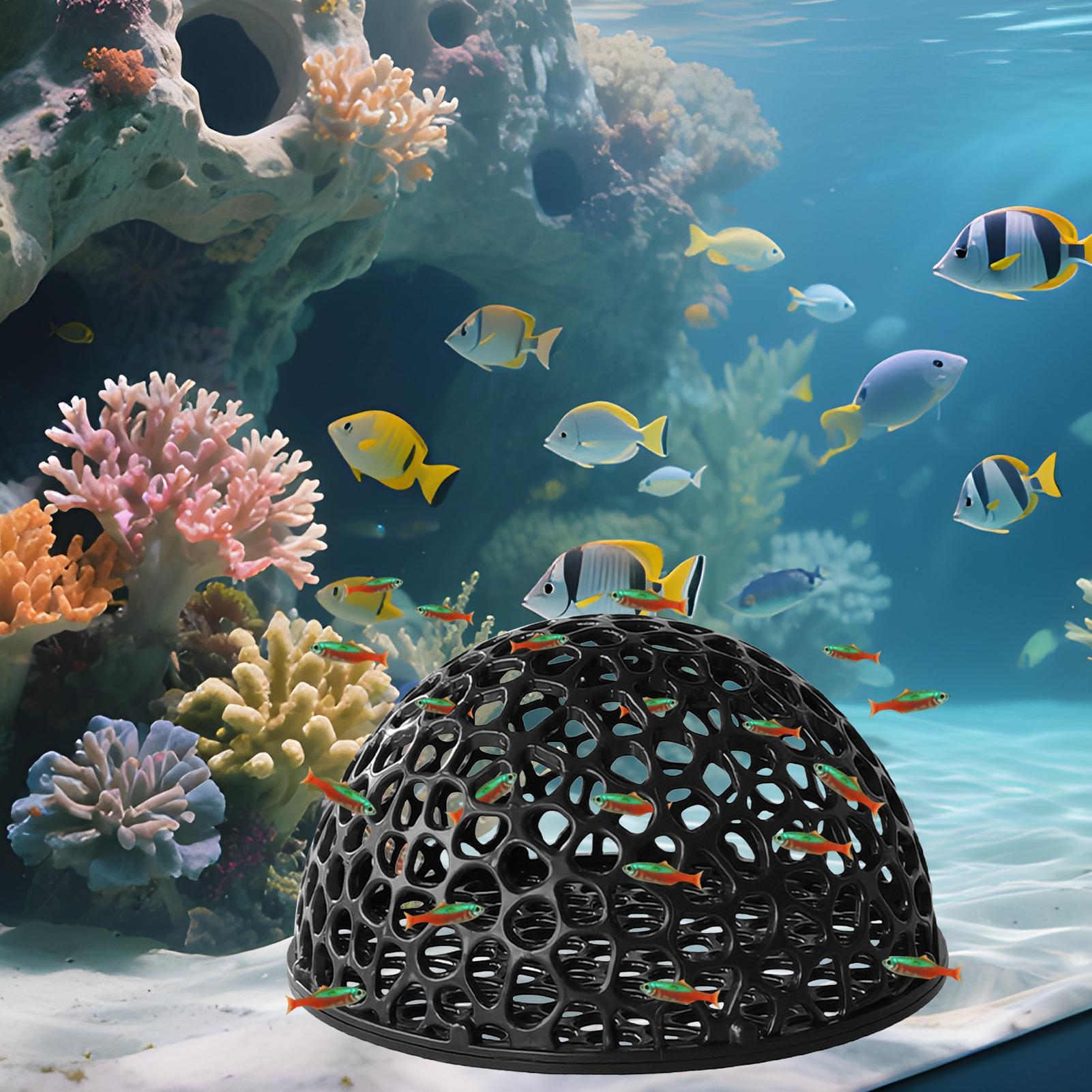 Tempat Persembunyian Tersembun - Aquasoil Substrate ulasan dan harga