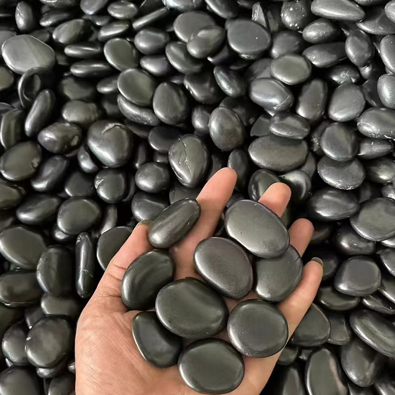 200/300/400g Kerikil Hitam Dip - Aquarium Planting Ideas ulasan dan harga