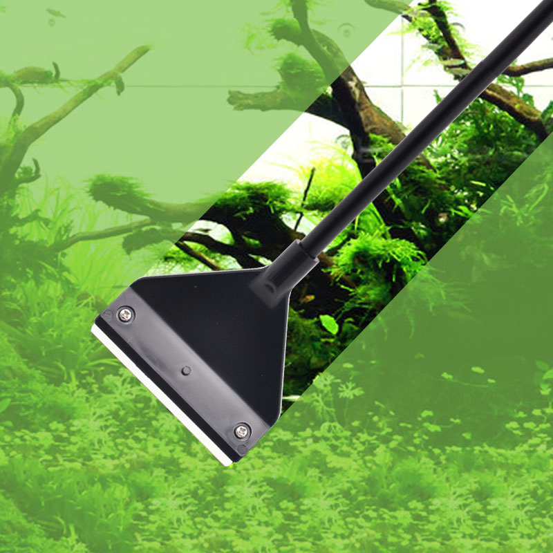 Penghilang ganggang akuarium,  - Aquarium Plant Utensils ulasan dan harga