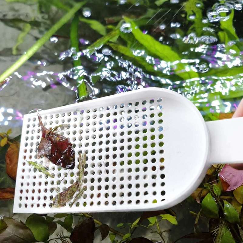 Jaring Penyedot Kotoran Akuari - Aquarium Plant Utensils ulasan dan harga