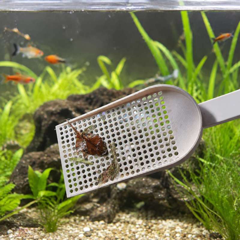 Jaring Penyedot Kotoran Akuari - Aquarium Plant Utensils ulasan dan harga