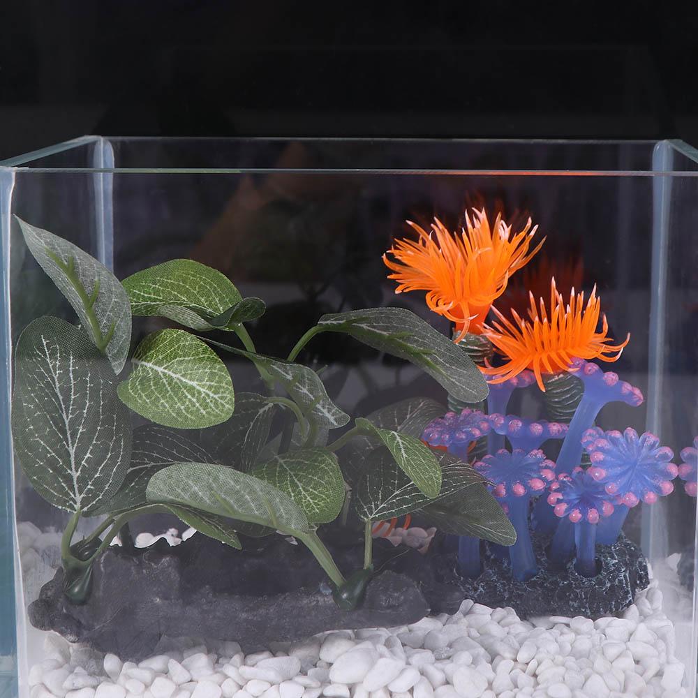 Tanaman Buatan Sutra Kreatif R - Planted Aquarium Jar ulasan dan harga