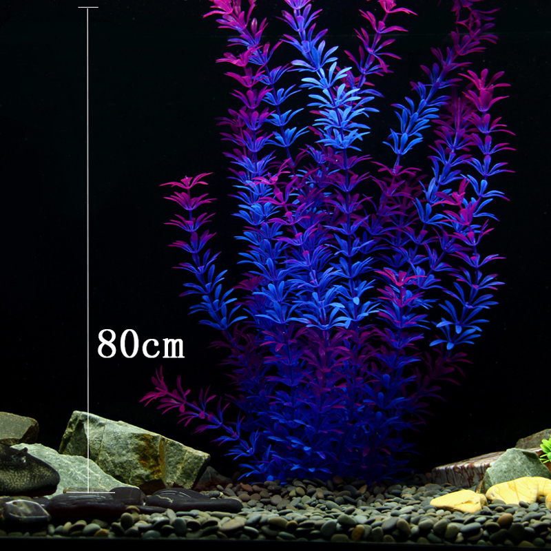 Tanaman Tropis 100cm, Rumput A - Aquarium Planting Ideas ulasan dan harga