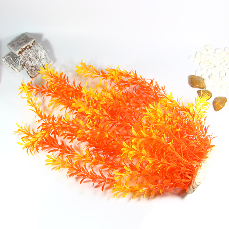 Tanaman Tropis 100cm, Rumput A - Aquarium Planting Ideas ulasan dan harga
