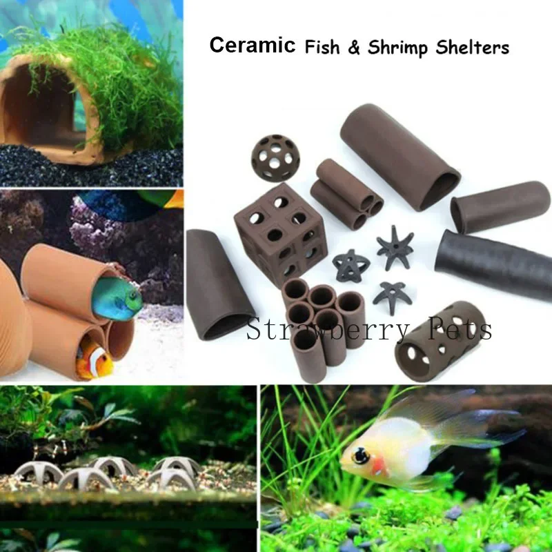 Dekorasi akuarium Keramik, uda - Aquasoil Substrate ulasan dan harga