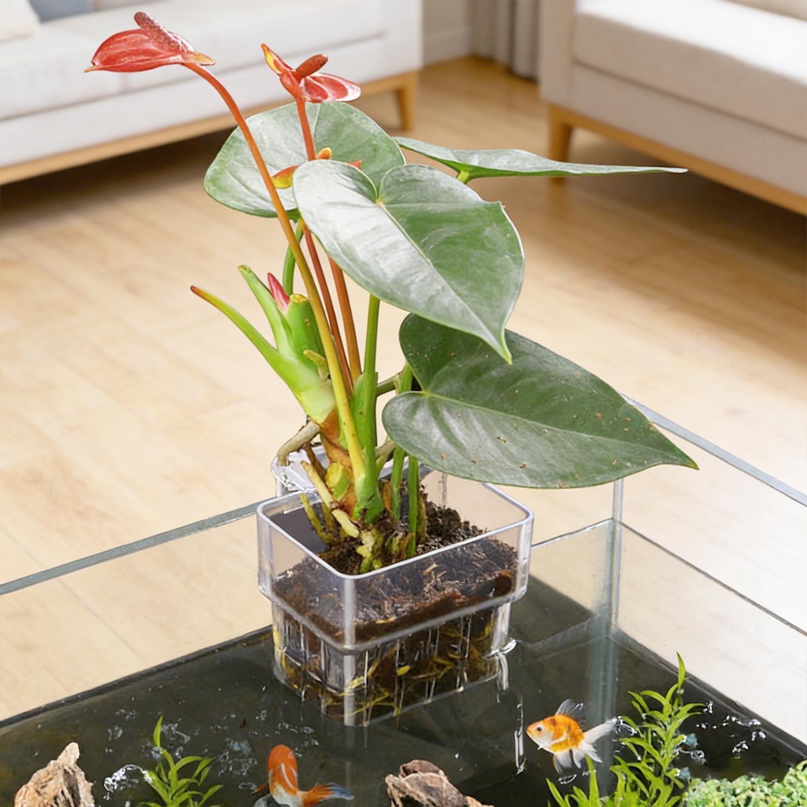 Pot Tanaman Akuarium Transpara - Aquasoil Substrate ulasan dan harga