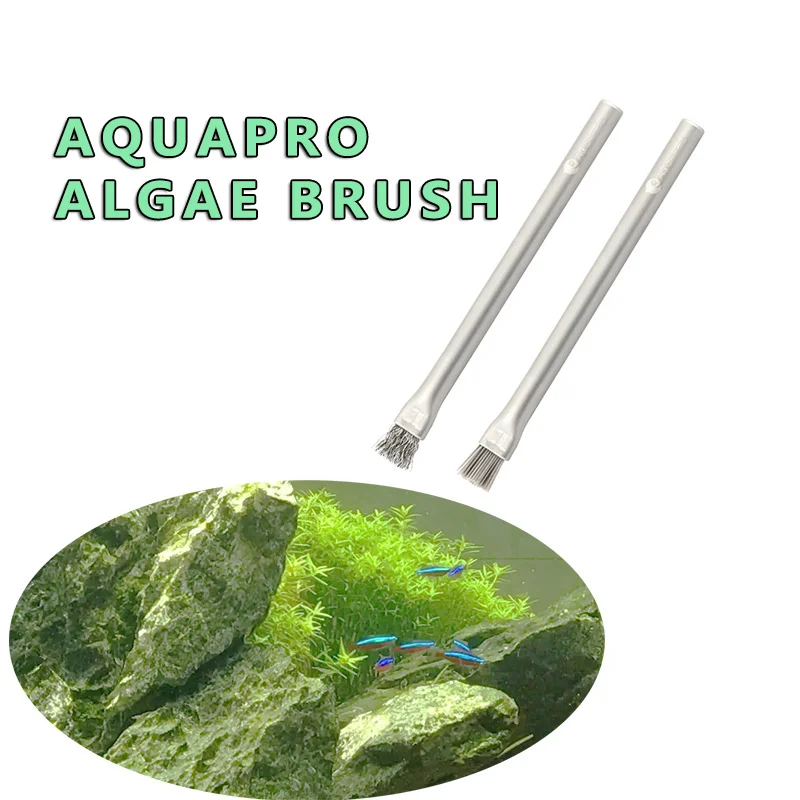 Sikat Alga Aquapro Sikat Pembe - Aquarium Plant Utensils ulasan dan harga
