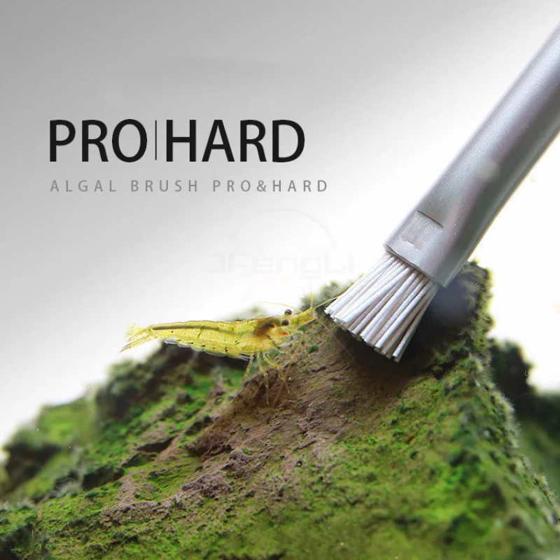 Sikat Alga Aquapro Sikat Pembe - Aquarium Plant Utensils ulasan dan harga