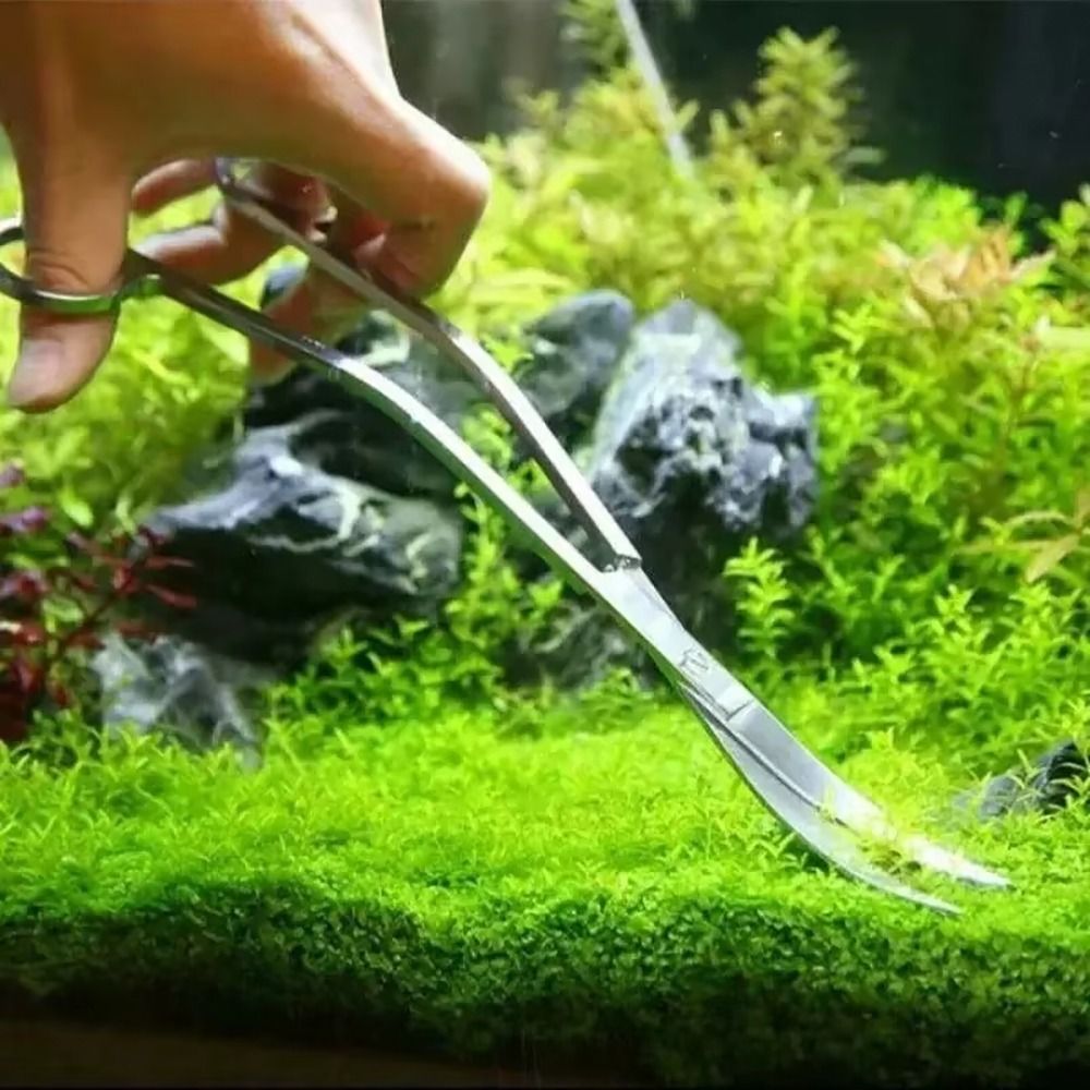 1 Buah Gunting Akuarium Baja T - Aquarium Plant Utensils ulasan dan harga
