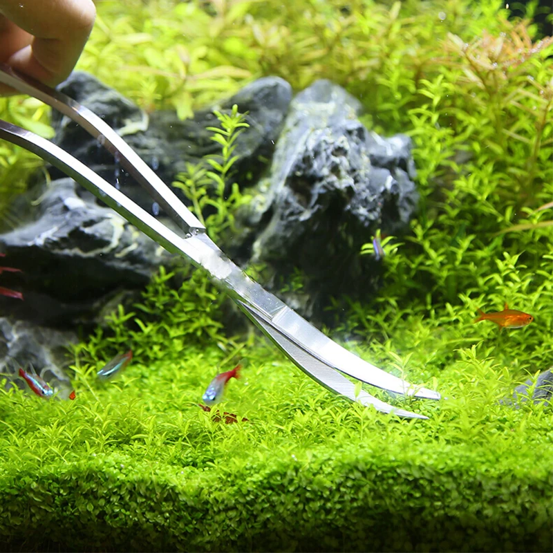 Gunting akuarium, peralatan ta - Aquasoil Substrate ulasan dan harga
