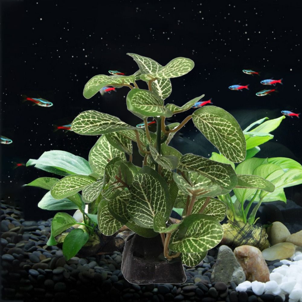 Sutra Dekoratif Bawah Air Real - Planted Aquarium Jar ulasan dan harga