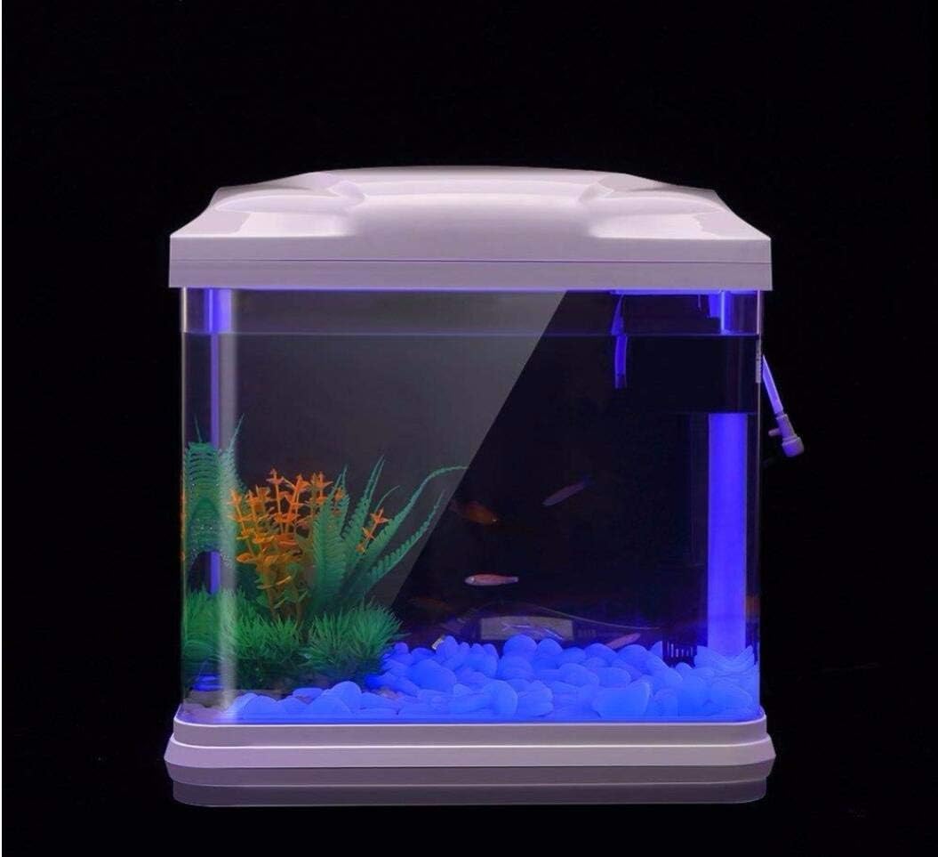Batu Tangki Ikan Kerikil Biru  - Aquarium Planting Ideas ulasan dan harga
