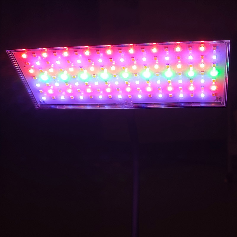 Lampu Akuarium 3 Warna yang Da - Aquarium Plant Light Spectrum ulasan dan harga