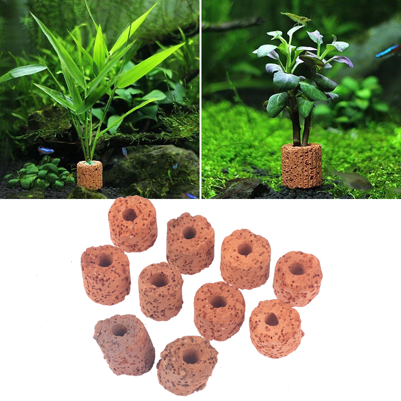 ^10 Buah Cincin Tanaman Akuari - Aquarium Plant Utensils ulasan dan harga