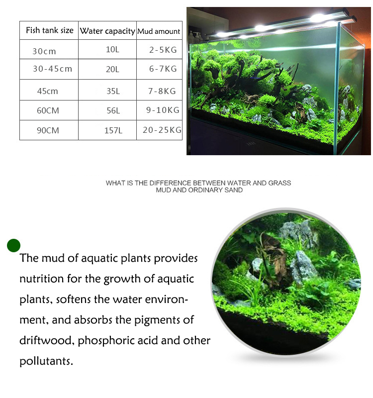 Bibit Tanaman Akuarium Tanah T - Aquarium Planting Ideas ulasan dan harga