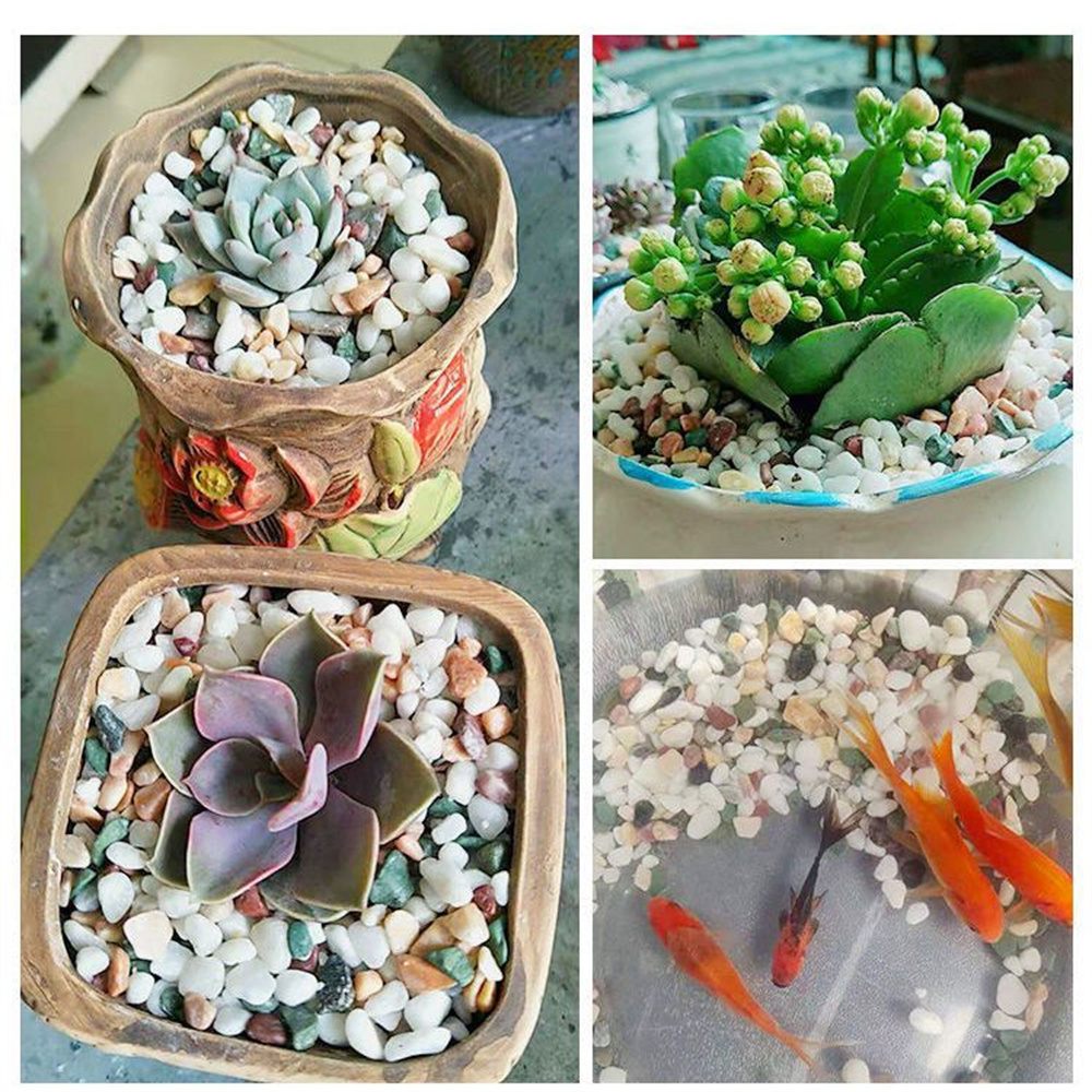 100g Batu Kerikil Kristal Alam - Aquarium Plant Gravel ulasan dan harga