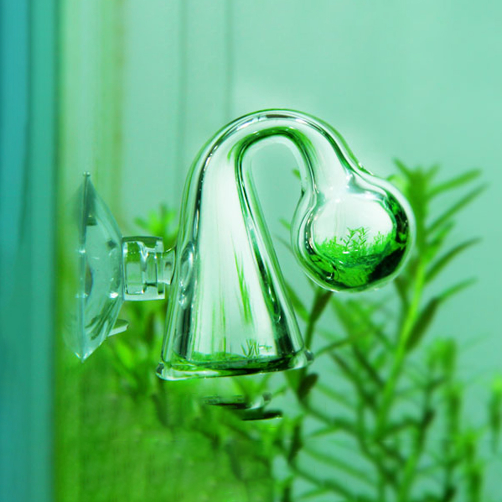 Tangki ikan CO2 menyebarkan ka - Aquarium Planting Ideas ulasan dan harga