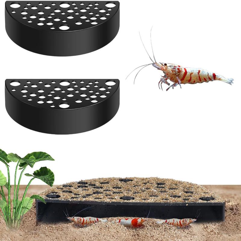 Akuarium Baru dengan Gua Terse - Aquarium Planting Ideas ulasan dan harga