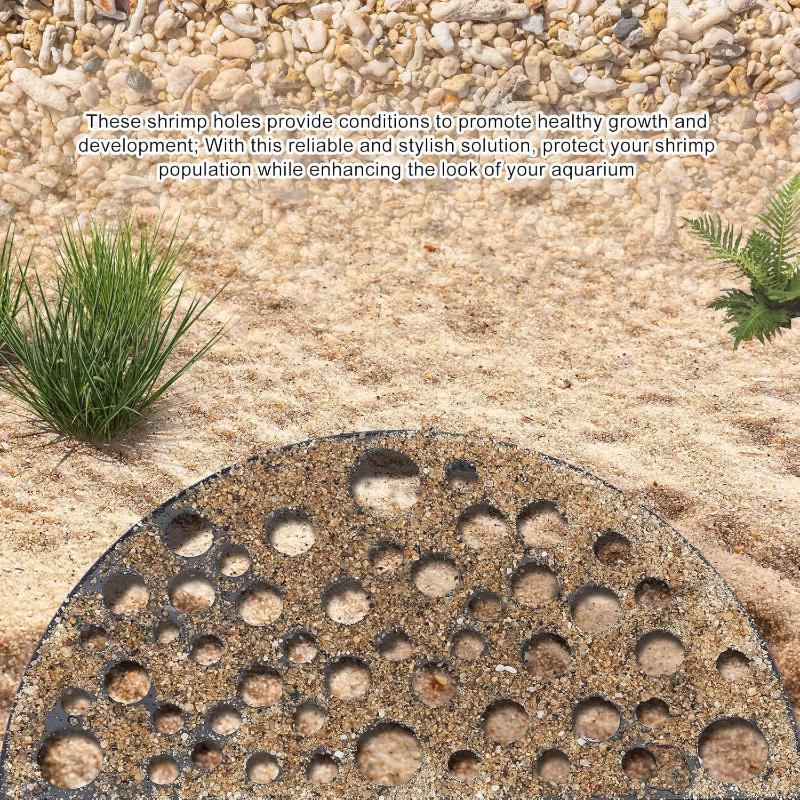 Akuarium Baru dengan Gua Terse - Aquarium Planting Ideas ulasan dan harga