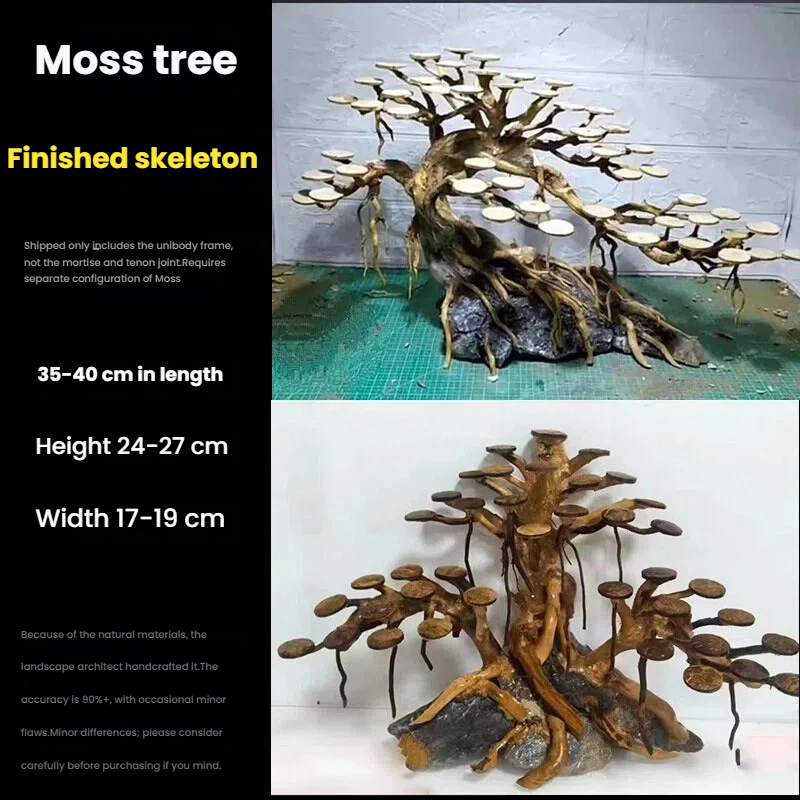 Dekorasi akuarium, hiasan poho - Aquarium Planting Ideas ulasan dan harga