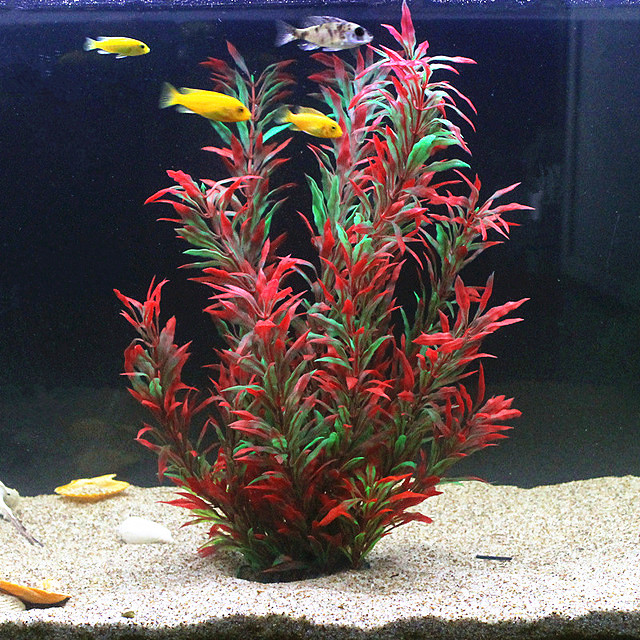 50CM Kolam Ikan Buatan Tanaman - Aquarium Planting Ideas ulasan dan harga