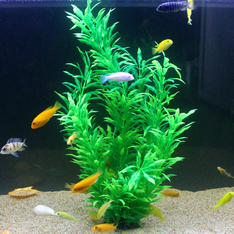 50CM Kolam Ikan Buatan Tanaman - Aquarium Planting Ideas ulasan dan harga
