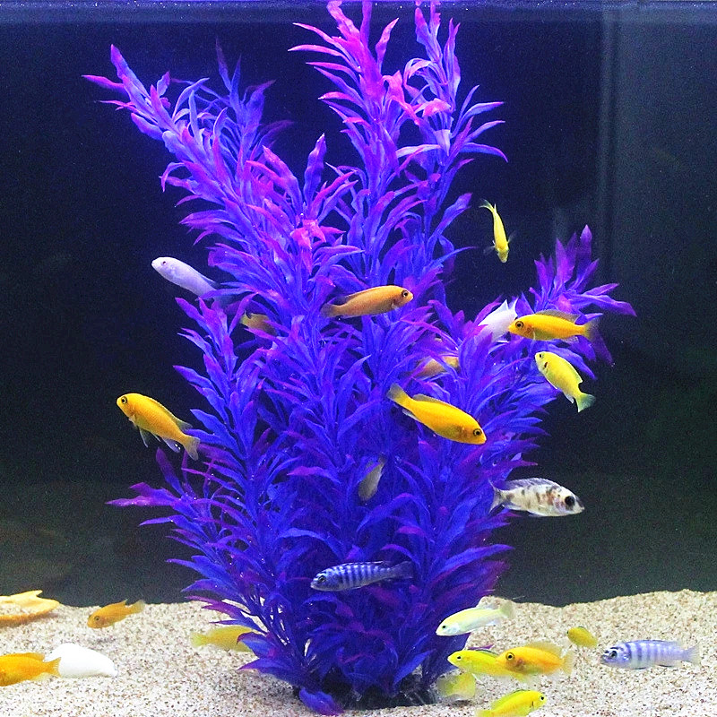 50CM Kolam Ikan Buatan Tanaman - Aquarium Planting Ideas ulasan dan harga