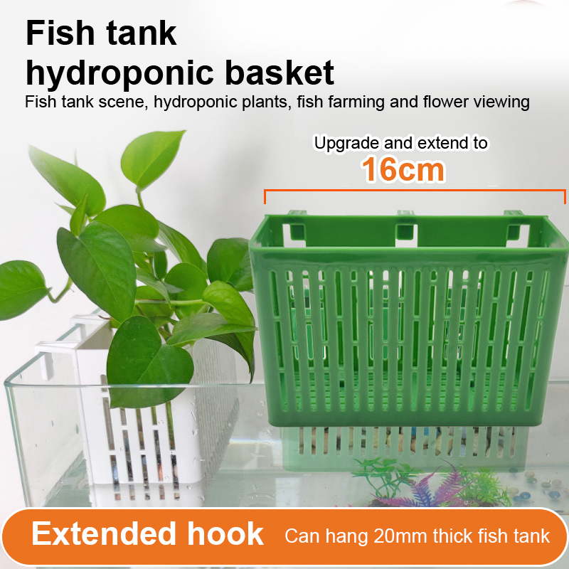 【F】Wadah Tanaman Gantung untuk - Aquarium Planting Ideas ulasan dan harga