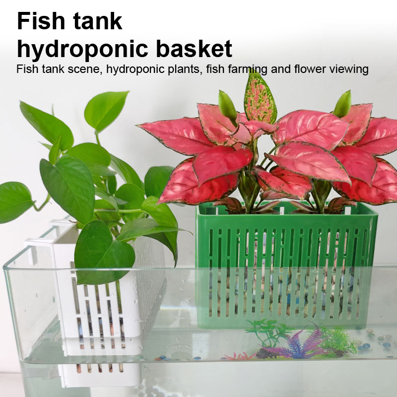 【F】Wadah Tanaman Gantung untuk - Aquarium Planting Ideas ulasan dan harga
