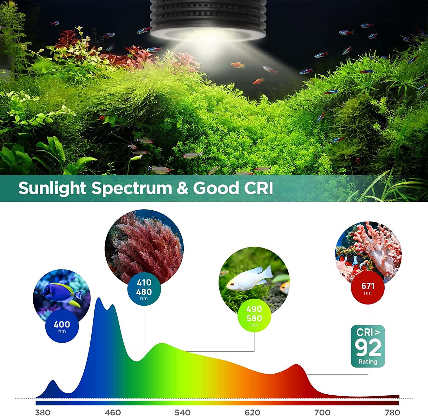 Lominie Asta 20 tangki ikan, c - Planted Aquarium Uv Light ulasan dan harga