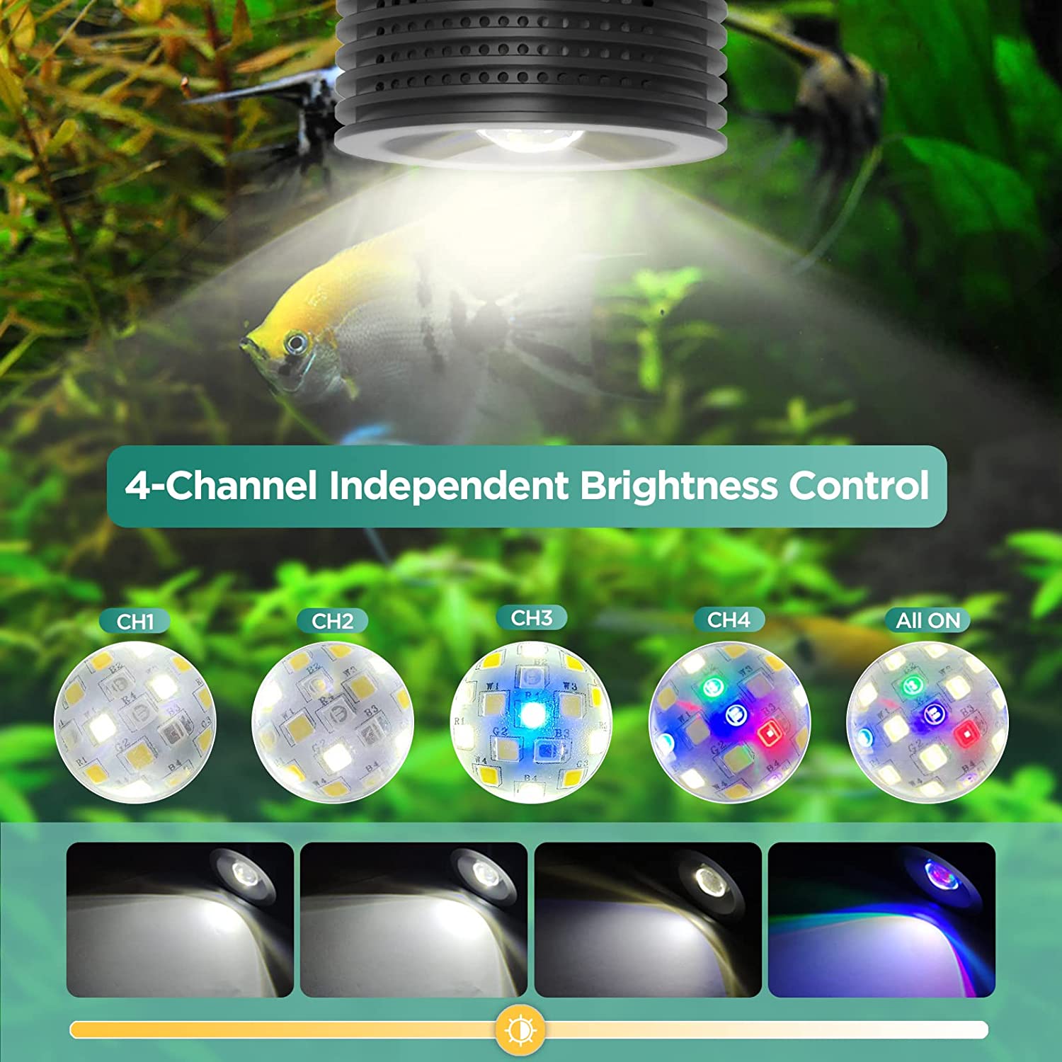 Lominie Asta 20 tangki ikan, c - Planted Aquarium Uv Light ulasan dan harga