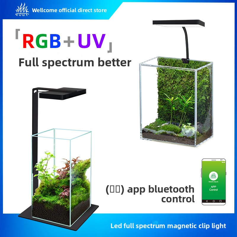 Lampu Akuarium LED Magnetik We - Planted Aquarium Jar ulasan dan harga